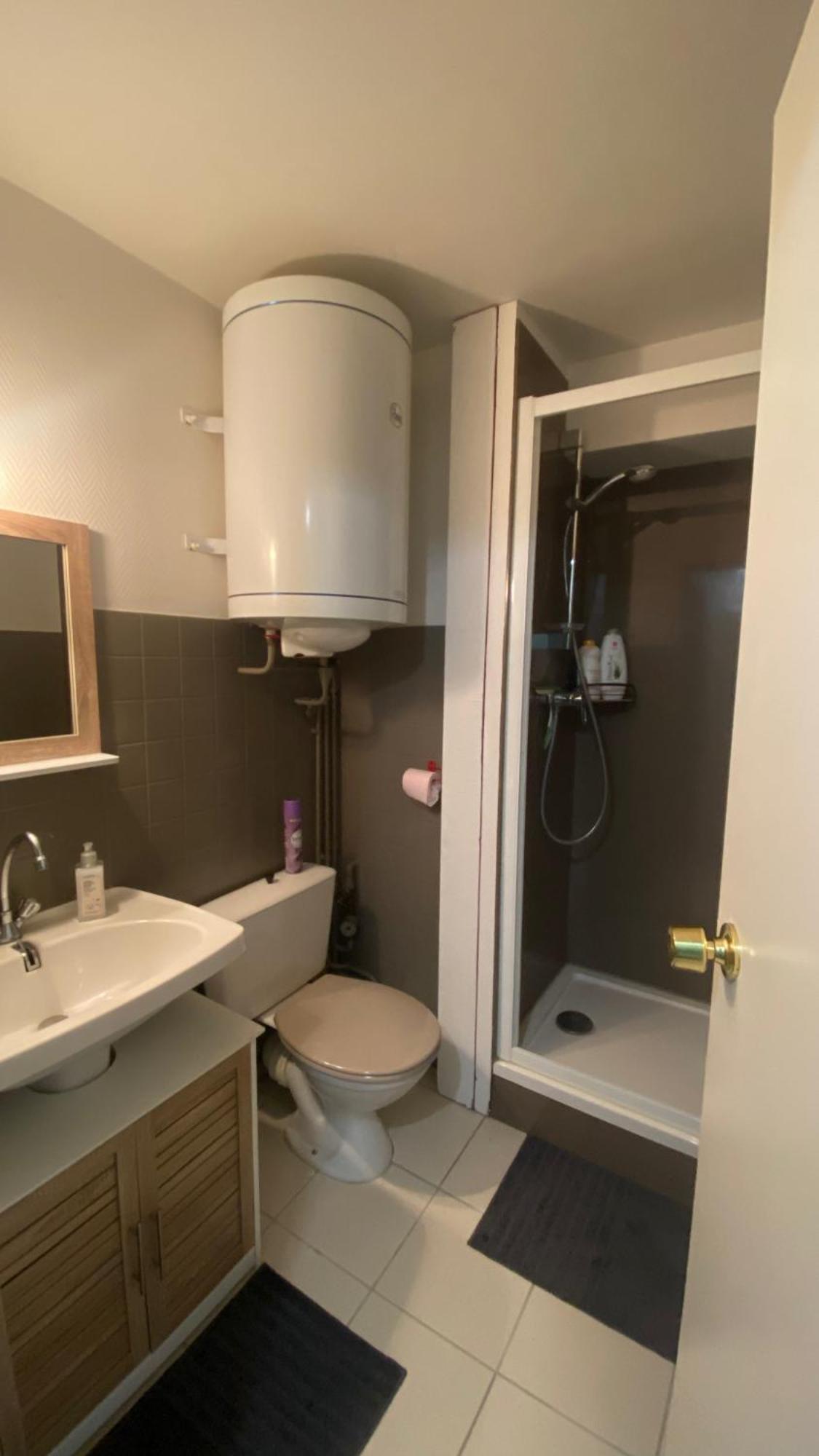 Studio Au Pied Des Pistes Et Des Cures Mont-Dore Ngoại thất bức ảnh